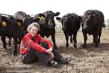 _E Temple Grandin